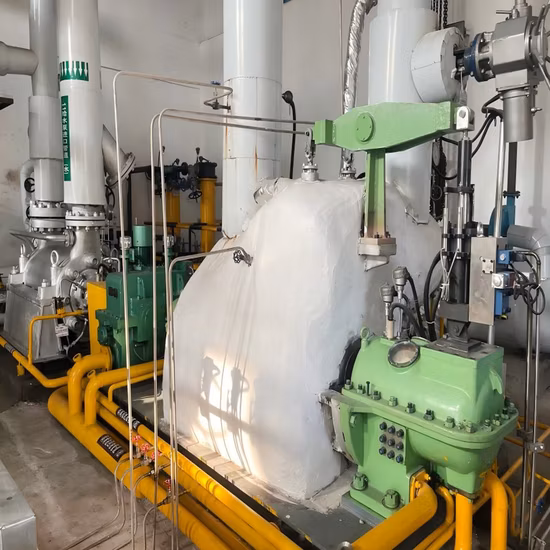 배압 증기 터빈 발전소